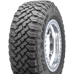 WildPeak MT01