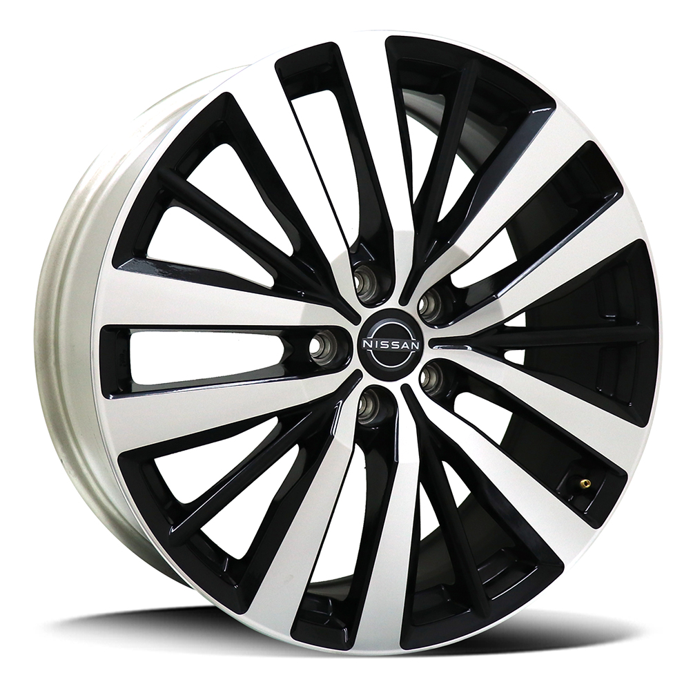 PATHFINDER – GLOSS BLACK POLISH FACE